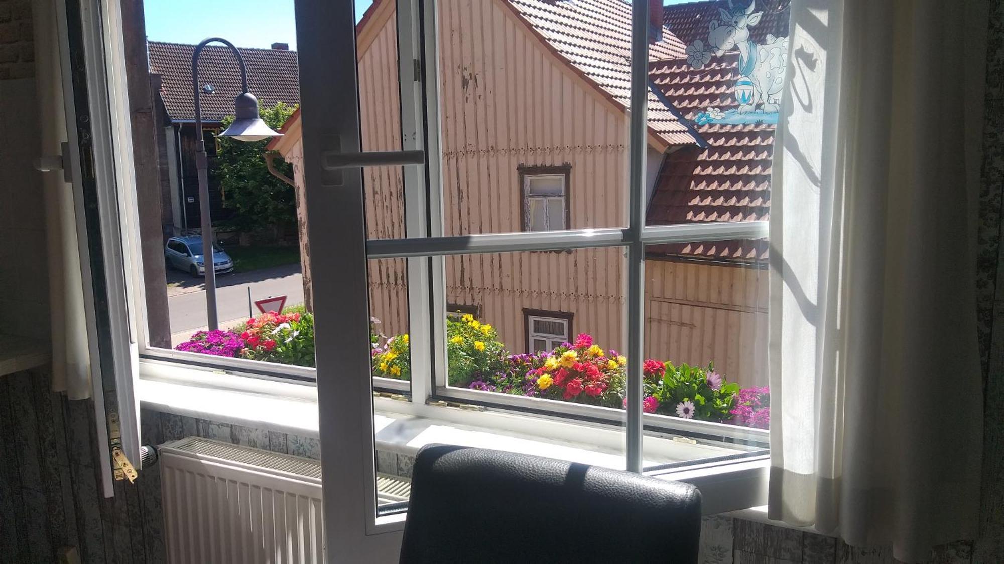 Harzer Bauernhof Apartment Thale Room photo